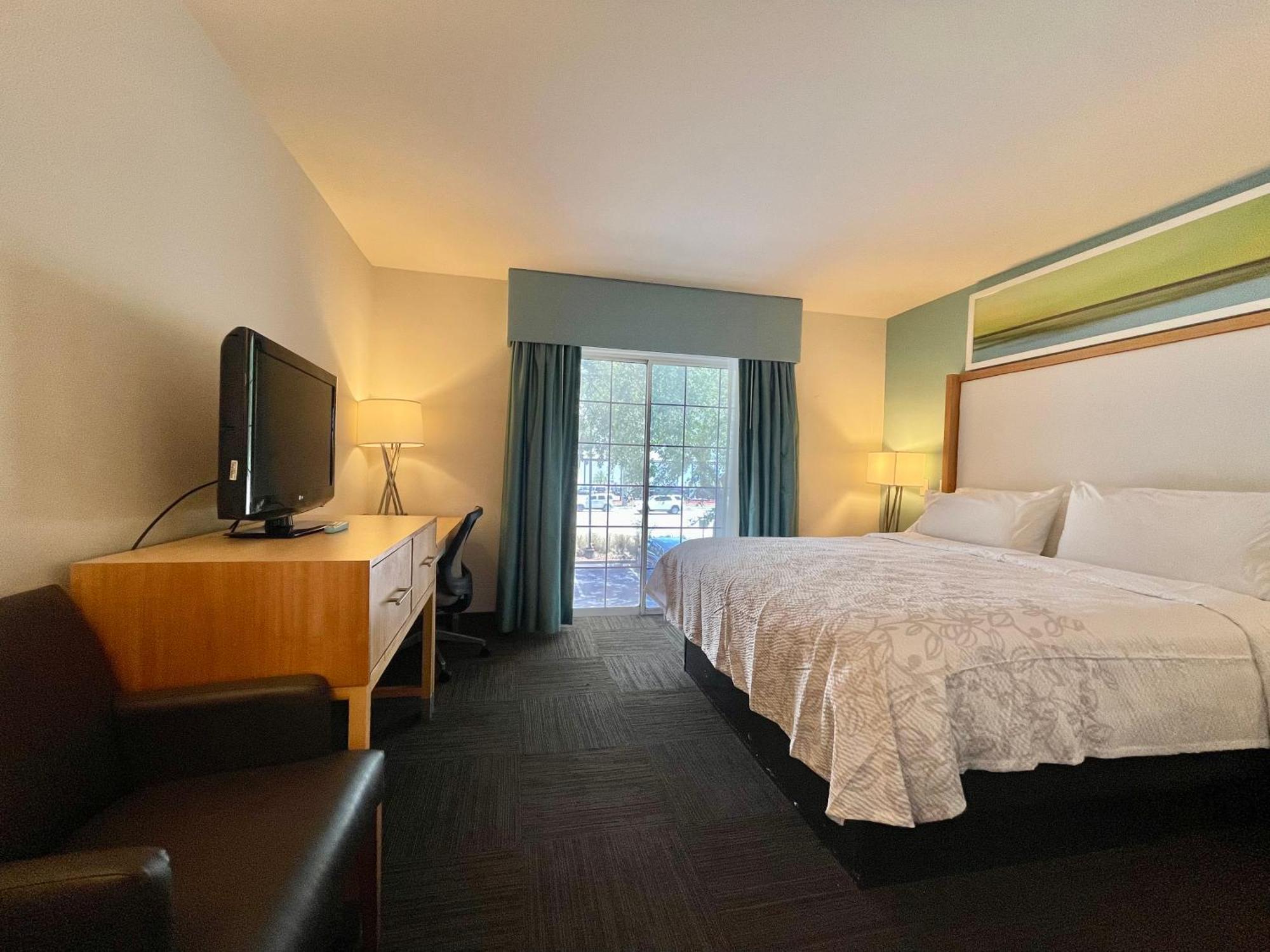 Red Roof Inn Plus & Suites 坦帕 客房 照片